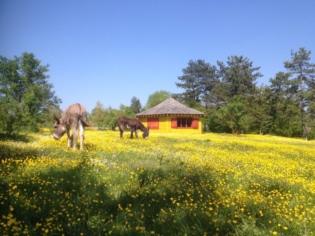 Le 12 juin à partir de 12H30 : une après midi à la maison en bois